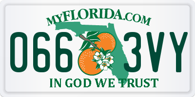 FL license plate 0663VY