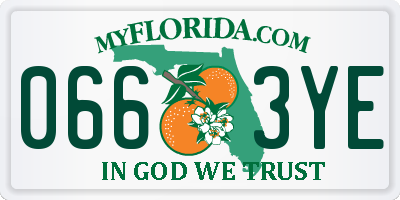 FL license plate 0663YE