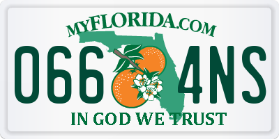FL license plate 0664NS