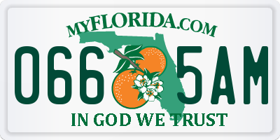 FL license plate 0665AM