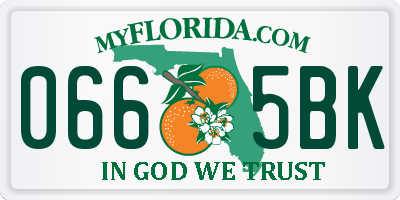 FL license plate 0665BK