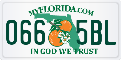 FL license plate 0665BL