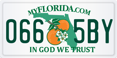 FL license plate 0665BY