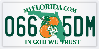 FL license plate 0665DM