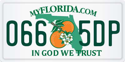 FL license plate 0665DP