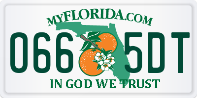 FL license plate 0665DT