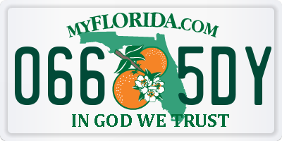 FL license plate 0665DY