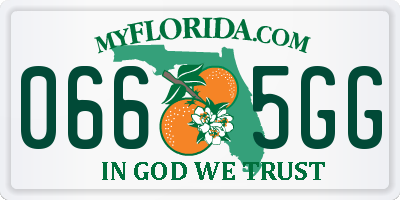 FL license plate 0665GG