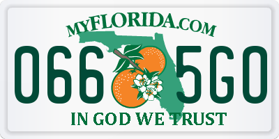 FL license plate 0665GO