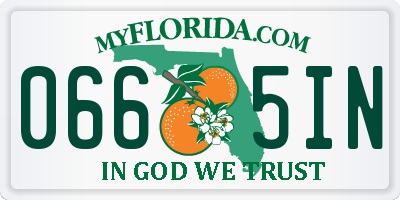 FL license plate 0665IN