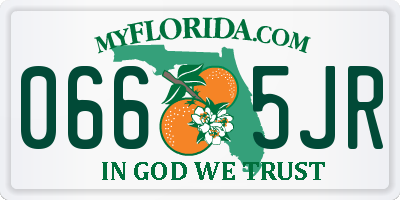 FL license plate 0665JR