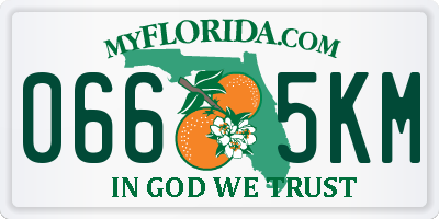 FL license plate 0665KM