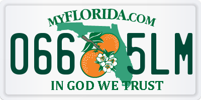 FL license plate 0665LM