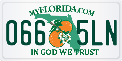 FL license plate 0665LN
