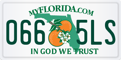 FL license plate 0665LS