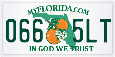 FL license plate 0665LT