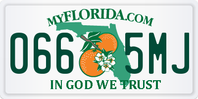 FL license plate 0665MJ