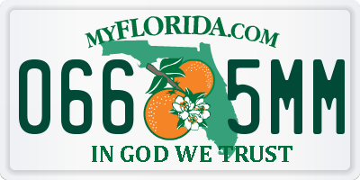 FL license plate 0665MM