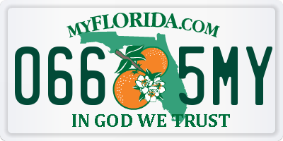 FL license plate 0665MY