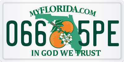 FL license plate 0665PE