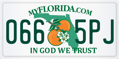 FL license plate 0665PJ