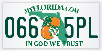 FL license plate 0665PL