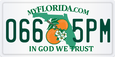 FL license plate 0665PM