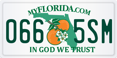 FL license plate 0665SM
