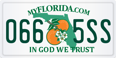 FL license plate 0665SS