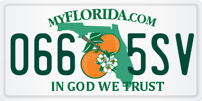 FL license plate 0665SV