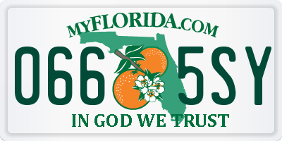 FL license plate 0665SY