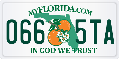 FL license plate 0665TA