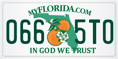 FL license plate 0665TO