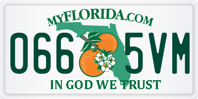 FL license plate 0665VM