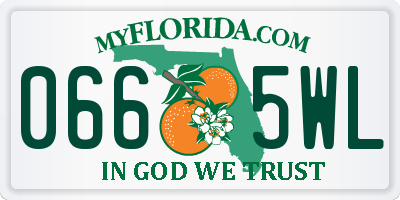 FL license plate 0665WL