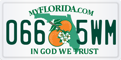 FL license plate 0665WM