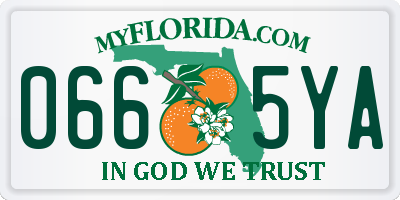 FL license plate 0665YA