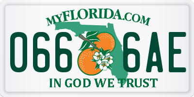 FL license plate 0666AE