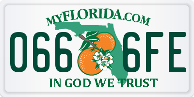 FL license plate 0666FE