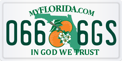 FL license plate 0666GS