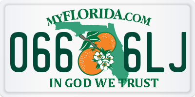 FL license plate 0666LJ