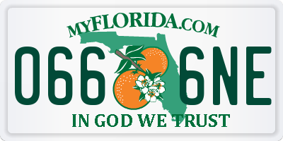 FL license plate 0666NE