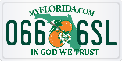 FL license plate 0666SL