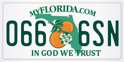 FL license plate 0666SN