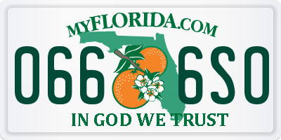 FL license plate 0666SO