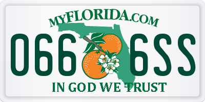 FL license plate 0666SS