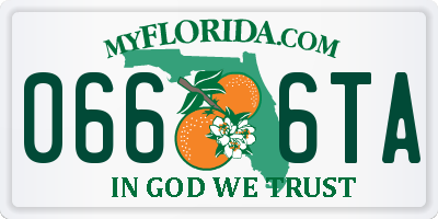 FL license plate 0666TA