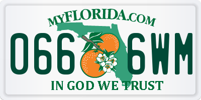 FL license plate 0666WM