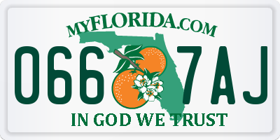 FL license plate 0667AJ