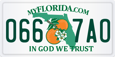 FL license plate 0667AO
